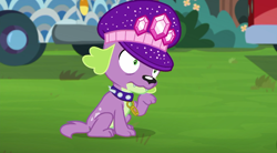 Size: 720x397 | Tagged: safe, screencap, character:spike, character:spike (dog), species:dog, episode:lost and pound, g4, my little pony:equestria girls, lost and pound: spike, male, paws, raised leg, spike's dog collar, spike's festival hat, tail
