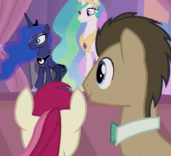 Size: 910x830 | Tagged: safe, screencap, character:doctor whooves, character:princess celestia, character:princess luna, character:roseluck, character:time turner, species:pony, ship:doctorrose, episode:the summer sun setback, g4, my little pony: friendship is magic, animated, cropped, female, hug, male, no sound, shipping, straight, webm