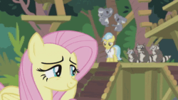 Size: 1920x1080 | Tagged: safe, screencap, character:angel bunny, character:doctor fauna, character:fluttershy, species:earth pony, species:pegasus, species:pony, episode:she talks to angel, g4, my little pony: friendship is magic, animal, animated, body swap, female, i want to marry discord, implied discoshy, implied shipping, implied straight, koala, mare, raccoon, shipping fuel, smoky, smoky jr., softpad, sound, webm
