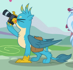 Size: 637x611 | Tagged: safe, screencap, character:gallus, character:silverstream, species:griffon, episode:dragon dropped, g4, my little pony: friendship is magic, camera, chest fluff, claws, cropped, cute, gallabetes, male, male focus, offscreen character, one eye closed, paws, saddle bag, solo focus, tongue out, wings