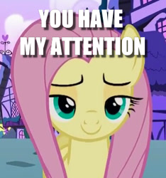 Size: 384x411 | Tagged: safe, screencap, character:fluttershy, episode:flutter brutter, g4, my little pony: friendship is magic, caption, cropped, image macro, lidded eyes, looking at you, ponyville, solo, text