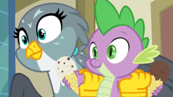 Size: 1120x625 | Tagged: safe, screencap, character:gabby, character:spike, species:dragon, species:griffon, episode:dragon dropped, g4, my little pony: friendship is magic, claws, cute, female, food, gabbybetes, holding, holding a dragon, ice cream, male, spikabetes, winged spike