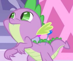 Size: 598x501 | Tagged: safe, screencap, character:spike, species:dragon, episode:green isn't your color, g4, my little pony: friendship is magic, carousel boutique, cropped, faec, male, needle, solo