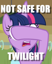 Size: 878x1080 | Tagged: safe, screencap, character:twilight sparkle, character:twilight sparkle (alicorn), species:alicorn, species:pony, episode:the point of no return, g4, my little pony: friendship is magic, caption, covering eyes, cropped, image macro, nsfw, solo, text