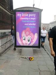 Size: 534x712 | Tagged: safe, artist:rsa.fim, screencap, character:pinkie pie, species:pony, avengers: endgame, cursed image, dank memes, discovery family logo, edited photo, fake, final season, flower, fourth wall pose, irl, meme, photo, photoshop, ponies in real life, promo, sad