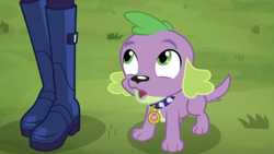 Size: 1280x720 | Tagged: safe, screencap, character:spike, character:spike (dog), character:twilight sparkle, character:twilight sparkle (scitwi), species:dog, species:eqg human, episode:the road less scheduled, g4, my little pony:equestria girls, boots, female, grass, male, shoes, spike's dog collar, tail, the road less scheduled: fluttershy