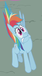 Size: 300x545 | Tagged: safe, screencap, character:rainbow dash, species:pegasus, species:pony, episode:dragonshy, g4, my little pony: friendship is magic, animation error, cropped, female, flat, great moments in animation, mare, missing wing, rainbow dash is best facemaker, scared, solo