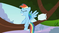 Size: 1920x1080 | Tagged: safe, screencap, character:rainbow dash, species:pegasus, species:pony, episode:may the best pet win, g4, my little pony: friendship is magic, eyes closed, female, gritted teeth, mare, pillow, solo, tree, tree branch