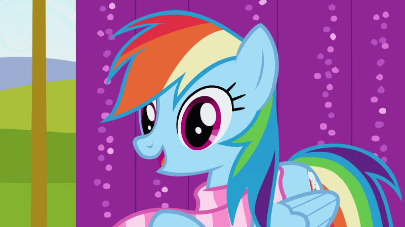 Size: 800x450 | Tagged: safe, screencap, character:rainbow dash, character:rarity, species:pegasus, species:pony, species:unicorn, episode:may the best pet win, g4, my little pony: friendship is magic, animated, duo, female, gif, mare