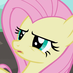Size: 400x400 | Tagged: safe, screencap, character:fluttershy, species:pegasus, species:pony, episode:may the best pet win, g4, my little pony: friendship is magic, cropped, female, mare, solo