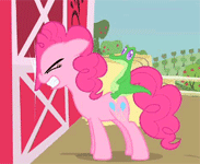 Size: 183x150 | Tagged: safe, screencap, character:gummy, character:pinkie pie, species:earth pony, species:pony, episode:party of one, g4, my little pony: friendship is magic, alligator, animated, barn, cropped, eyes closed, gators riding ponies, gif, headbang, riding, woodpecker