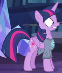 Size: 374x437 | Tagged: safe, screencap, character:dj pon-3, character:twilight sparkle, character:twilight sparkle (alicorn), character:vinyl scratch, species:alicorn, species:pony, episode:a trivial pursuit, g4, my little pony: friendship is magic, clothing, faec, female, mare, shirt, smiling, solo, twilight sparkle is best facemaker, twilight's castle, twilighting, wide eyes, wide smile
