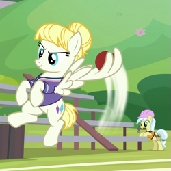 Size: 875x875 | Tagged: safe, screencap, character:ambrosia, character:summer breeze, species:pony, episode:2-4-6 greaaat, bleachers, buckball, buckball uniform, clothing, construction pony, cropped, flying, hammer, hard hat, hat, jersey, mouth hold, shirt, throwing, wing hands, wings
