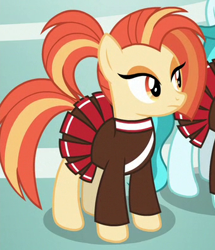 Size: 340x395 | Tagged: safe, screencap, character:lighthoof, character:shimmy shake, species:pony, episode:2-4-6 greaaat