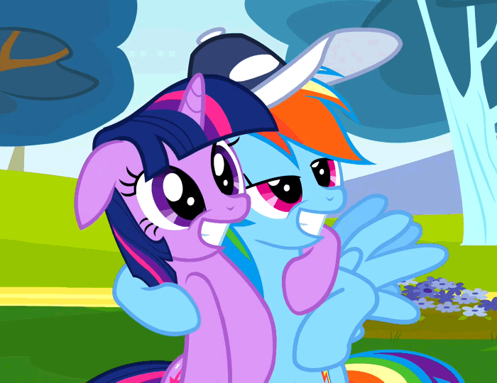 Size: 700x540 | Tagged: safe, screencap, character:rainbow dash, character:twilight sparkle, species:pegasus, species:pony, species:unicorn, episode:hurricane fluttershy, g4, my little pony: friendship is magic, animated, gif