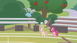 Size: 1366x768 | Tagged: safe, screencap, character:ambrosia, character:fluttershy, character:pinkie pie, character:rainbow dash, species:pony, episode:2-4-6 greaaat, apple tree, bleachers, cap, clothing, field, hat, tree, whistle