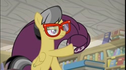 Size: 1292x720 | Tagged: safe, screencap, character:a.k. yearling, character:daring do, species:pegasus, species:pony, episode:daring doubt, g4, my little pony: friendship is magic, book, bookshelf, cloak, clothing, eyes half closed, glasses, library, solo, we don't normally wear clothes