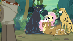 Size: 1920x1080 | Tagged: safe, screencap, character:fluttershy, species:pony, episode:daring doubt, g4, my little pony: friendship is magic, ahuizotl's cats, animal, big cat, cat, cheetah, clothing, cute, female, hat, kitten, lynx, mare, on back, panther, shyabetes