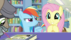 Size: 1920x1080 | Tagged: safe, screencap, character:doctor caballeron, character:fluttershy, character:rainbow dash, species:earth pony, species:pegasus, species:pony, episode:daring doubt, g4, my little pony: friendship is magic, angry, betrayal, book, book signing, bookshelf, bookstore, clothing, cute, daring do and the fallen idol, disguise, excited, fake beard, female, flat cap, folded wings, frown, glare, grin, groom q.q. martingale, happy, hat, hooves together, library, male, mare, mouth drawing, mouth hold, narrowed eyes, pen, rainbow dash is not amused, raised eyebrow, saddle bag, shyabetes, smiling, stallion, too cute, trio, unamused, wings