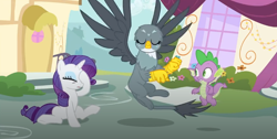 Size: 936x470 | Tagged: safe, screencap, character:gabby, character:rarity, character:spike, species:dragon, species:griffon, species:pony, species:unicorn, episode:dragon dropped, g4, my little pony: friendship is magic, dizzy, female, male, winged spike