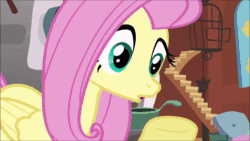 Size: 1280x720 | Tagged: safe, screencap, character:angel bunny, character:fluttershy, species:pegasus, species:pony, episode:putting your hoof down, g4, my little pony: friendship is magic, animated, female, mare, offscreen character, paws, slap, sound, webm