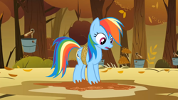 Size: 1920x1080 | Tagged: safe, screencap, character:rainbow dash, species:pony, episode:fall weather friends, g4, my little pony: friendship is magic, bound wings, bucket, solo, tree, wings