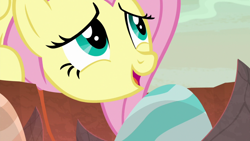 Size: 1920x1080 | Tagged: safe, screencap, character:fluttershy, species:pegasus, species:pony, episode:sweet and smoky, g4, my little pony: friendship is magic, dragon egg, egg, female, mare, open mouth, solo