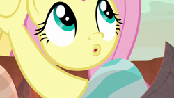 Size: 1920x1080 | Tagged: safe, screencap, character:fluttershy, species:pegasus, species:pony, episode:sweet and smoky, g4, my little pony: friendship is magic, :o, dragon egg, egg, female, mare, open mouth, solo