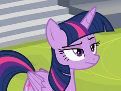 Size: 960x720 | Tagged: safe, screencap, character:twilight sparkle, character:twilight sparkle (alicorn), species:alicorn, species:pony, episode:horse play, g4, my little pony: friendship is magic, cropped, frown, lidded eyes, raised eyebrow, solo, unamused
