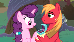 Size: 1920x1080 | Tagged: safe, screencap, character:big mcintosh, character:sugar belle, species:pony, ship:sugarmac, episode:the big mac question, g4, my little pony: friendship is magic, cute, female, intertwined trees, male, marriage proposal, ring, shipping, straight, tree, wedding ring