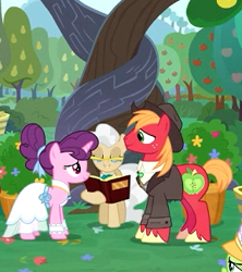 Size: 288x324 | Tagged: safe, screencap, character:big mcintosh, character:granny smith, character:mayor mare, character:sugar belle, species:earth pony, species:pony, species:unicorn, ship:sugarmac, episode:the big mac question, g4, my little pony: friendship is magic, apple tree, book, clothing, cropped, dress, female, freckles, hat, intertwined trees, like father like son, male, mare, marriage, pear tree, shipping, stallion, straight, tree, unshorn fetlocks, wedding, wedding dress