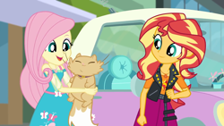 Size: 1920x1080 | Tagged: safe, screencap, character:fluttershy, character:sunset shimmer, episode:driving miss shimmer, g4, my little pony:equestria girls, car, cat, choose your own ending (season 1), cute, driving miss shimmer: fluttershy, duo, duo female, female, fluttershy's car, geode of empathy, geode of fauna, magical geodes, miss kitty, shimmerbetes, shyabetes