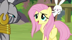 Size: 1920x1080 | Tagged: safe, screencap, character:angel bunny, character:fluttershy, character:zecora, species:pegasus, species:pony, species:rabbit, species:zebra, episode:she talks to angel, g4, my little pony: friendship is magic, animal, ear piercing, earring, female, jewelry, male, mare, neck rings, piercing