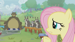 Size: 1600x900 | Tagged: safe, screencap, character:fluttershy, character:harry, species:pony, episode:she talks to angel, g4, my little pony: friendship is magic, bear, female, forest, lounge chair, mare, raccoon, smoky, smoky jr., softpad, stool, sweet feather sanctuary