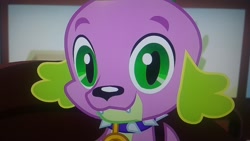 Size: 2560x1440 | Tagged: safe, screencap, character:spike, character:spike (dog), species:dog, episode:reboxing with spike!, g4, my little pony:equestria girls, looking at you, picture of a screen, solo, spike's dog collar