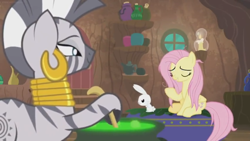 Size: 1600x900 | Tagged: safe, screencap, character:angel bunny, character:fluttershy, character:zecora, species:pegasus, species:pony, species:rabbit, species:zebra, episode:she talks to angel, g4, my little pony: friendship is magic, angry, animal, brew, candle, cauldron, container, door, ear piercing, earring, female, frazzled, jewelry, male, mare, neck rings, piercing, shelf, sitting, trio, upset, window, zecora's hut