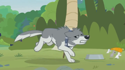 Size: 1366x768 | Tagged: safe, screencap, species:wolf, episode:she talks to angel, g4, my little pony: friendship is magic, animal, bowl, bush, carrot, chase, collar, dog collar, food, food bowl, leash, mouse, running, sandra, stealing