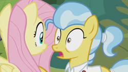 Size: 1364x768 | Tagged: safe, screencap, character:angel bunny, character:doctor fauna, character:fluttershy, species:earth pony, species:pegasus, species:pony, episode:she talks to angel, g4, my little pony: friendship is magic, body swap, duo, female, mare, not fluttershy, panic, stare
