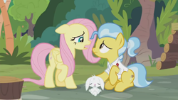 Size: 1366x768 | Tagged: safe, screencap, character:angel bunny, character:doctor fauna, character:fluttershy, species:earth pony, species:pegasus, species:pony, species:rabbit, episode:she talks to angel, g4, my little pony: friendship is magic, animal, body swap, exhausted, female, frazzled, lying down, male, mare, sad, tired, trio