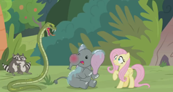 Size: 1366x726 | Tagged: safe, screencap, character:angel bunny, character:fluttershy, character:muriel, species:pegasus, species:pony, episode:she talks to angel, g4, my little pony: friendship is magic, animal, antoine, body swap, bush, drool, elephant, female, hissing, mare, not fluttershy, python, raccoon, raised hoof, scared, scaring, smoky, snake, softpad, spit, wet