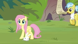Size: 1920x1080 | Tagged: safe, screencap, character:angel bunny, character:doctor fauna, character:fluttershy, species:earth pony, species:pegasus, species:pony, species:rabbit, episode:she talks to angel, g4, my little pony: friendship is magic, animal, checklist, female, male, mare, messy mane, trio