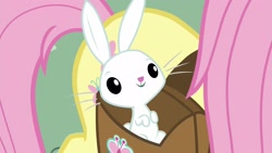 Size: 1920x1080 | Tagged: safe, screencap, character:angel bunny, character:fluttershy, species:pony, species:rabbit, episode:she talks to angel, g4, my little pony: friendship is magic, animal, male, saddle bag, solo focus