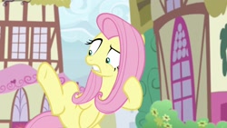 Size: 1920x1080 | Tagged: safe, screencap, character:angel bunny, character:fluttershy, species:pegasus, species:pony, episode:she talks to angel, g4, my little pony: friendship is magic, angel is not amused, body swap, confused, female, gritted teeth, hind legs, male, mare, not fluttershy, ponyville, raised eyebrow, raised leg, so ridiculous it's funny, solo