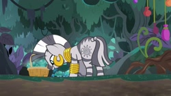 Size: 1920x1080 | Tagged: safe, screencap, character:zecora, species:pony, species:zebra, episode:she talks to angel, g4, my little pony: friendship is magic, basket, beautiful, busy, cutie mark, ear piercing, earring, everfree forest, female, jewelry, leaning forward, leg rings, mare, mohawk, mushroom, neck rings, picking, piercing, solo, tail wrap