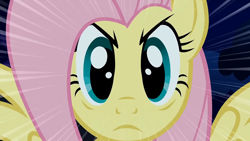 Size: 1600x900 | Tagged: safe, screencap, character:fluttershy, species:pegasus, species:pony, episode:stare master, g4, my little pony: friendship is magic, eye, eyes, female, looking at you, solo, spread wings, stare, the stare, wings