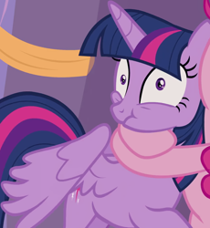 Size: 908x985 | Tagged: safe, screencap, character:pinkie pie, character:twilight sparkle, character:twilight sparkle (alicorn), species:alicorn, species:earth pony, species:pony, episode:the summer sun setback, g4, my little pony: friendship is magic, bear hug, cropped, female, hug, mare, offscreen character, puffy cheeks, scrunchy face, shrunken pupils, solo focus, twilight sparkle is best facemaker, wide eyes, wings