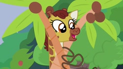 Size: 1920x1080 | Tagged: safe, screencap, character:clementine, episode:she talks to angel, g4, my little pony: friendship is magic, animal, coconut tree, cute, female, giraffe, rope, solo