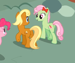 Size: 345x292 | Tagged: safe, screencap, character:apple cobbler, character:florina tart, character:pinkie pie, species:earth pony, species:pony, episode:pinkie pride, g4, my little pony: friendship is magic, apple family member, background pony, bow, cropped, duo focus, female, hair bow, looking at each other, mane bow, mare, walking