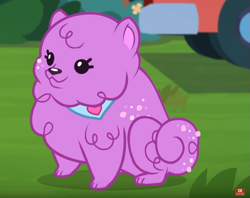 Size: 761x602 | Tagged: safe, screencap, species:dog, episode:lost and pound, g4, my little pony:equestria girls, adoptable, adorable face, cropped, cuddly, cute, cuteness overload, dawwww, hnnng, hugs needed, lost and pound: spike, princess thunder guts, puppy, sitting, weapons-grade cute