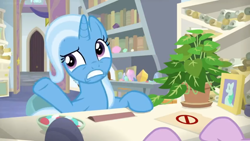 Size: 1600x900 | Tagged: safe, screencap, character:phyllis, character:starlight glimmer, character:trixie, species:pony, species:unicorn, episode:a horse shoe-in, g4, my little pony: friendship is magic, bookshelf, desk, female, folder, hooves, house plant, mare, mints, office, philodendron, picture frame, raised eyebrow, raised hoof, scroll, shelf